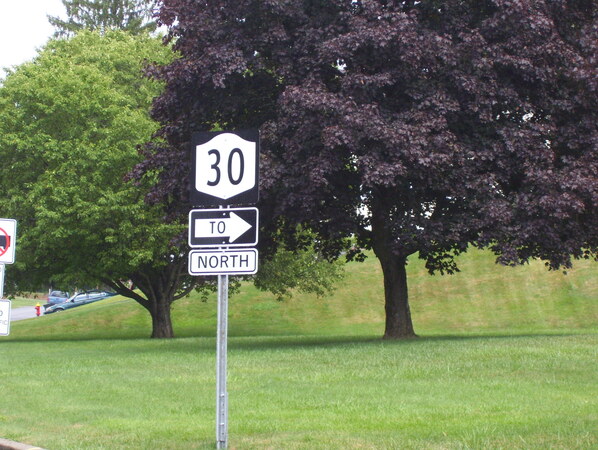 Odd sign for NY 30